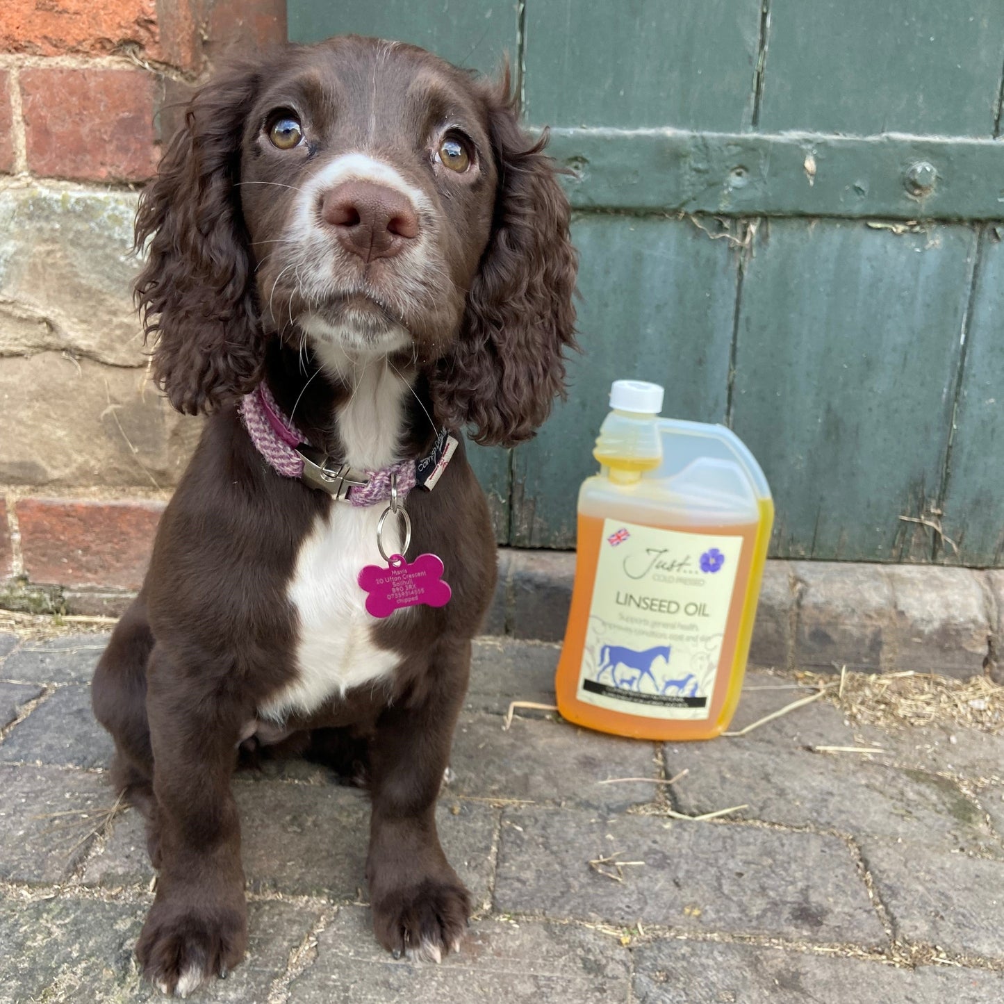 Linseed Oil - Natural Pet Supplement - British Cold Pressed Extra Virgin Linseed (Flaxseed) Oil, 1 Litre