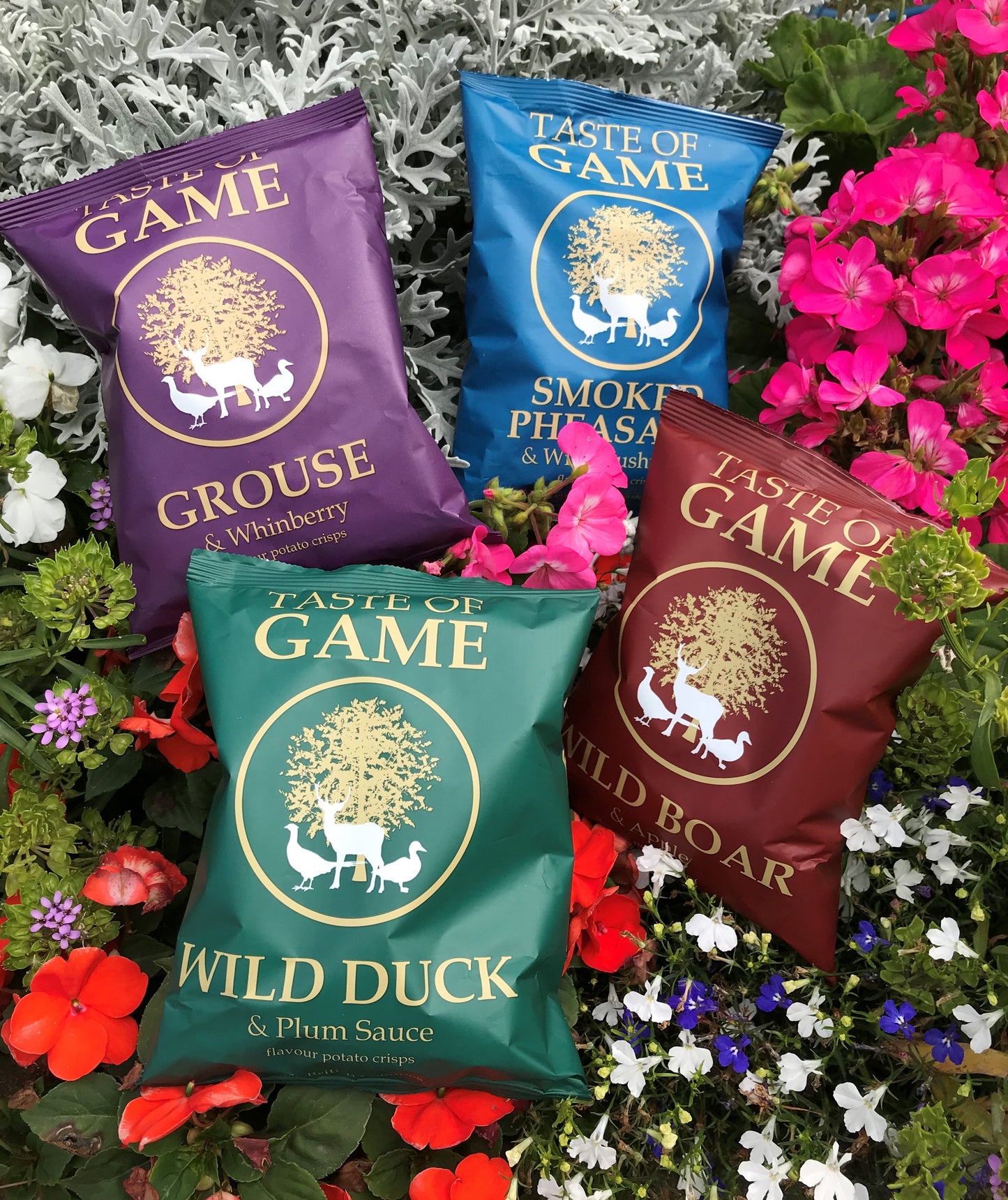 Mixed Box - Wild Boar and Apple, Wild Duck and Plum, Grouse and Whinberry, Smoked Pheasant and Mushroom Potato Crisps 40g (Case of 24)